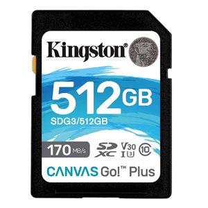 512GB SDXC CANVAS GO PLUS 170R