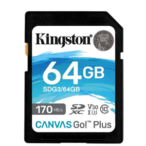 64GB SDXC CANVAS GO PLUS 170R